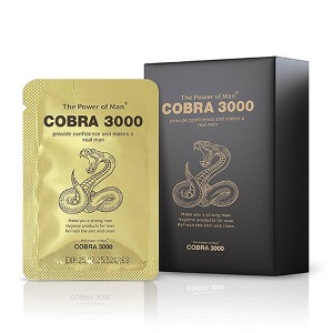 코브라3000 10p